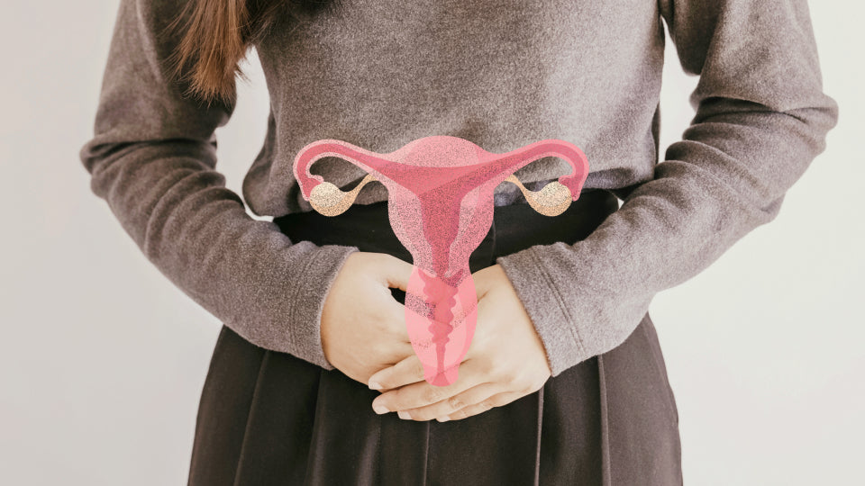 How To Lose Weight With PCOS PhenQ PhenQ (Canada)