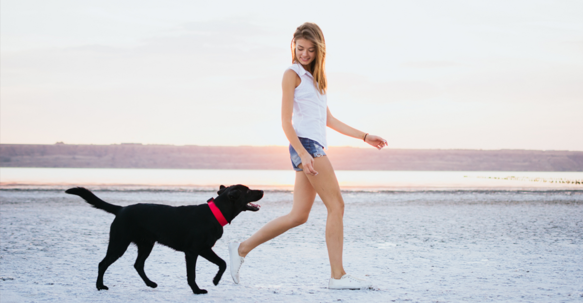 How Many Steps A Day Should You Be Doing? An Essential Guide PhenQ